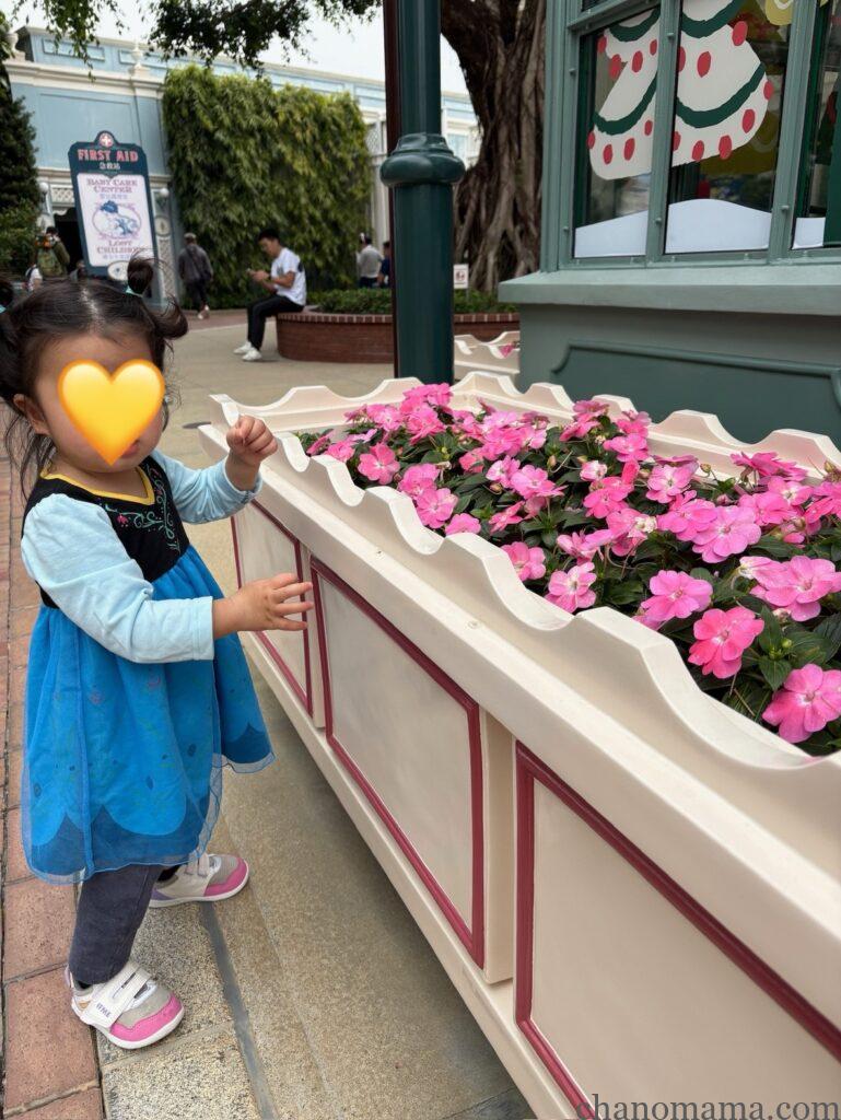 香港ディズニーランド子連れブログ