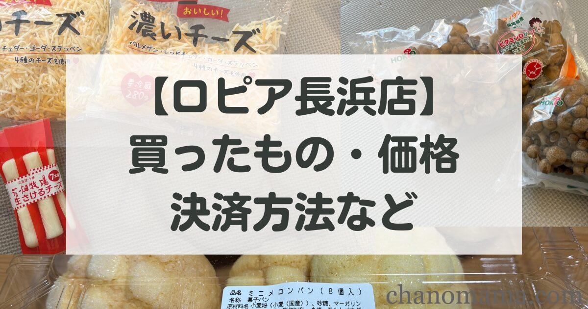 【人生初ロピア】福岡限定！？長浜店で買ったものと値段を紹介【レジ袋・決済方法も解説】