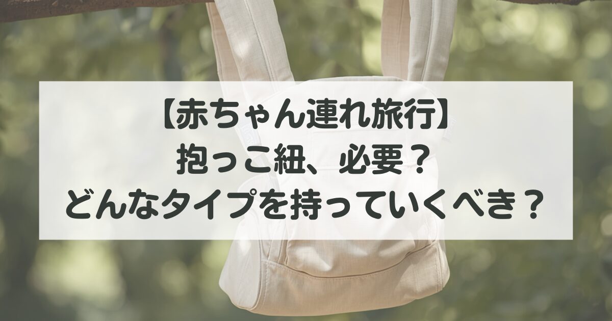 【赤ちゃん連れ旅行】抱っこ紐、必要?どんなタイプを持っていくべき?