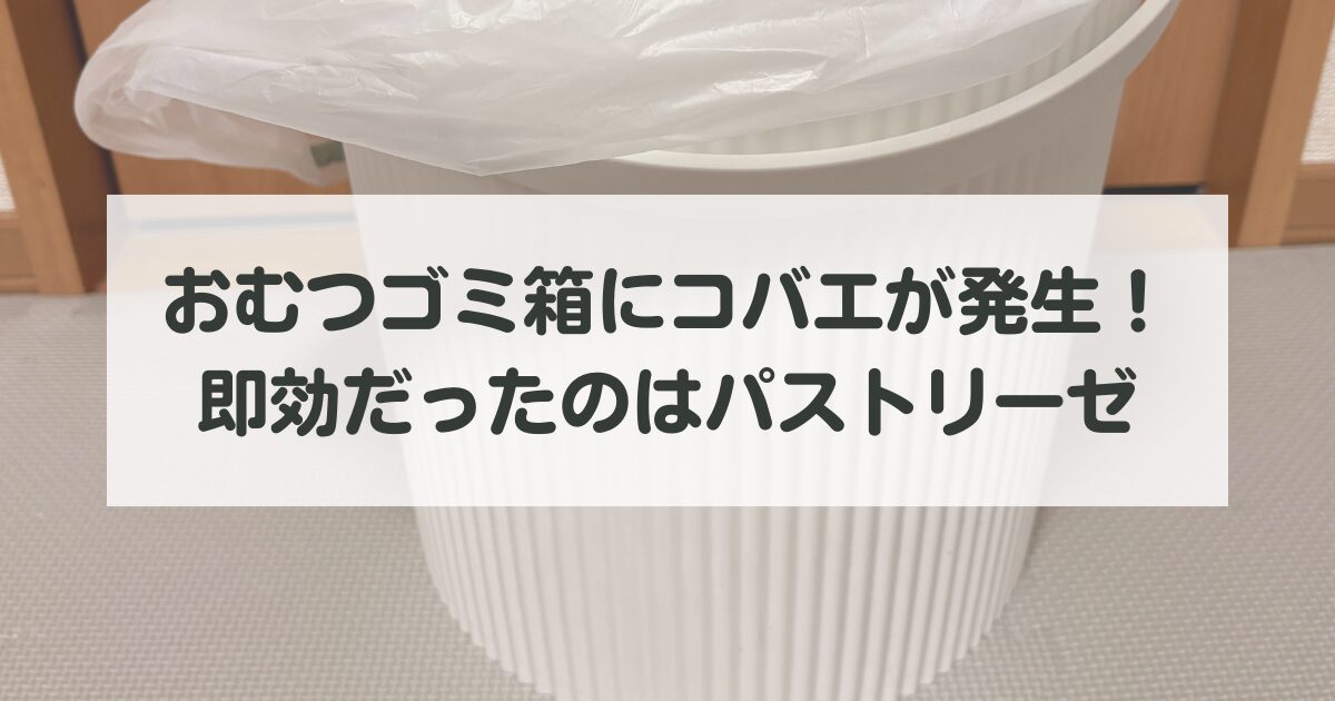 おむつゴミ箱にコバエが発生！即効だったのはパストリーゼ